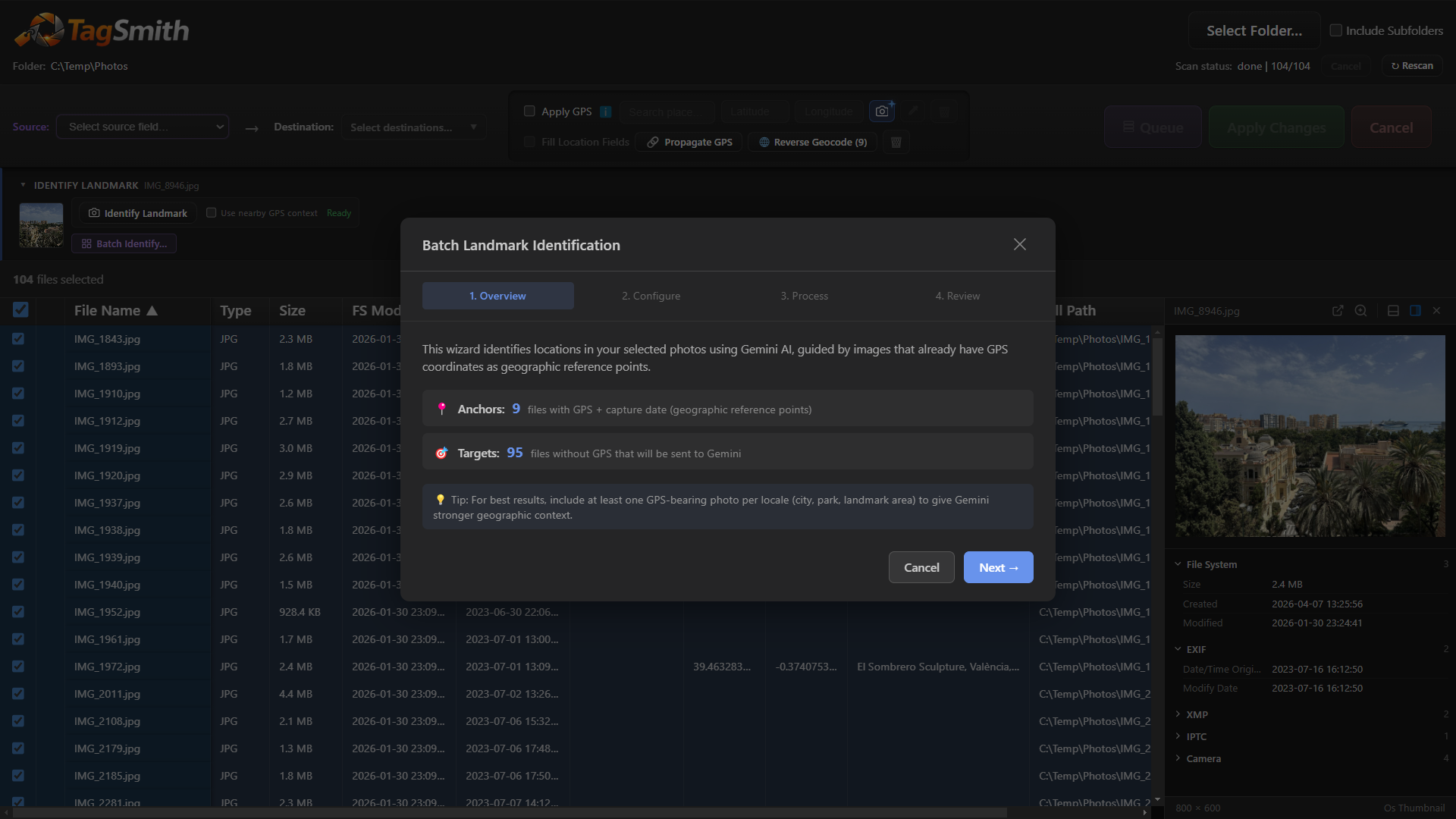 Run landmark identification across a whole folder with pause, resume, and results review (optional, requires your own API key)